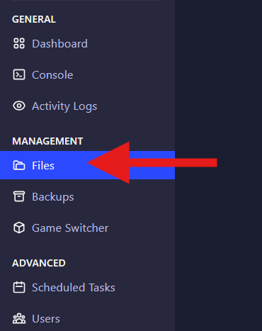 Access the server files