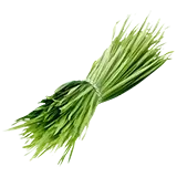 GGServers Minecraft Server Hosting 7 Days To Die Plant Fibers Plan